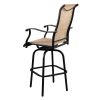 2pcs Wrought Iron Swivel Bar Chair Patio Swivel Bar Stools Black(without table)